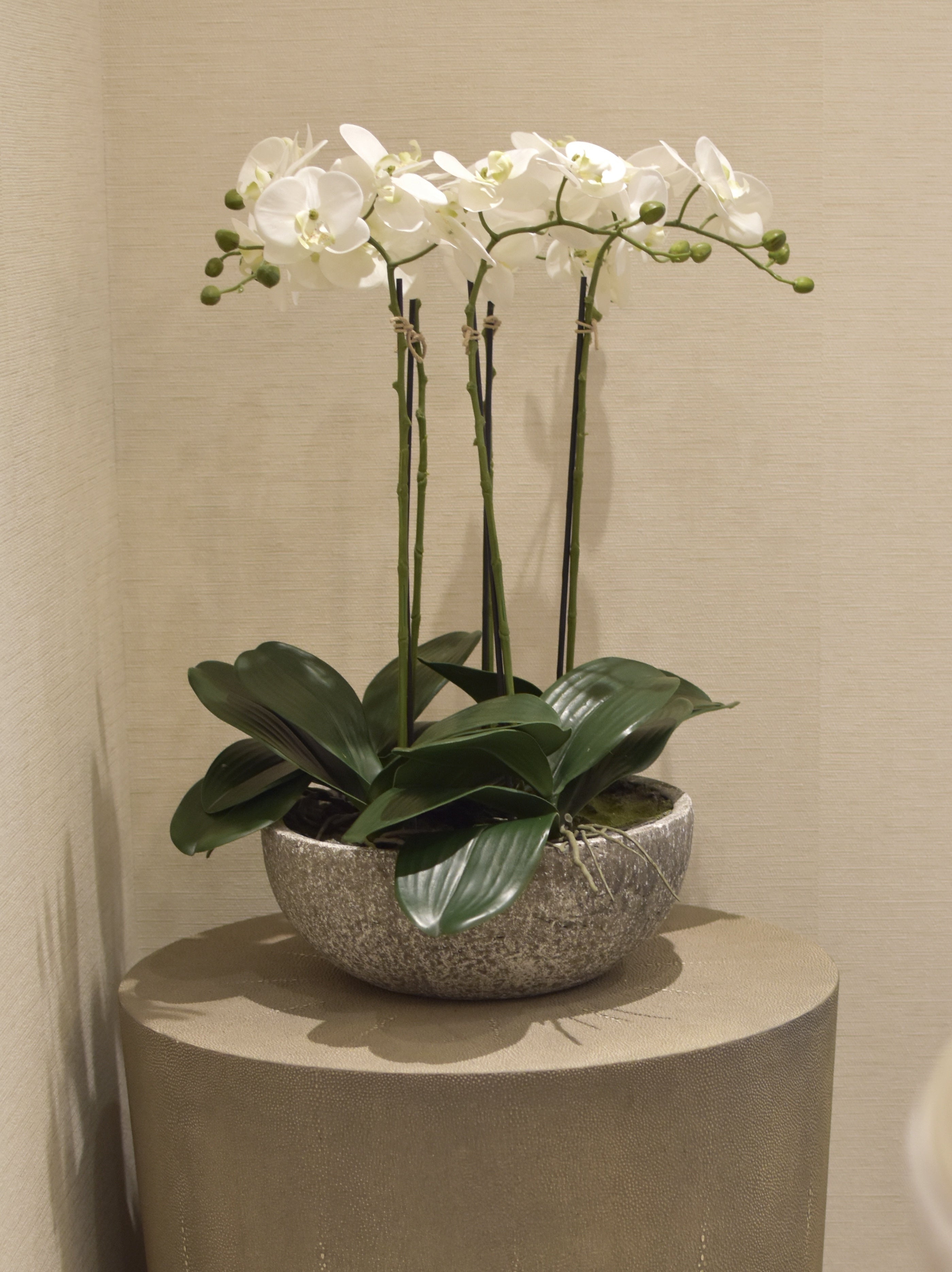 Faux White Orchid in Stone Bowl