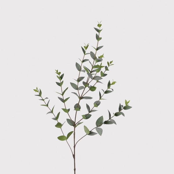 Green Eucalyptus Spray