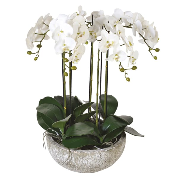 Faux White Orchid in Stone Bowl